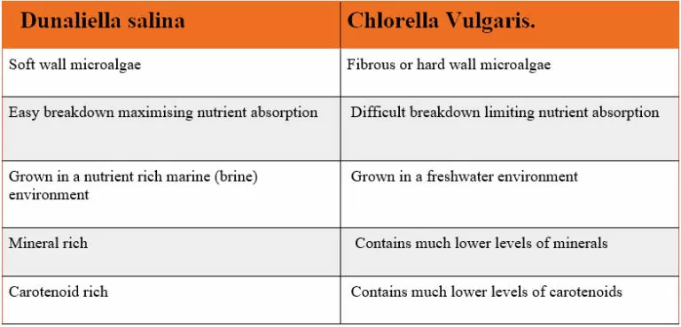 Micro Algae